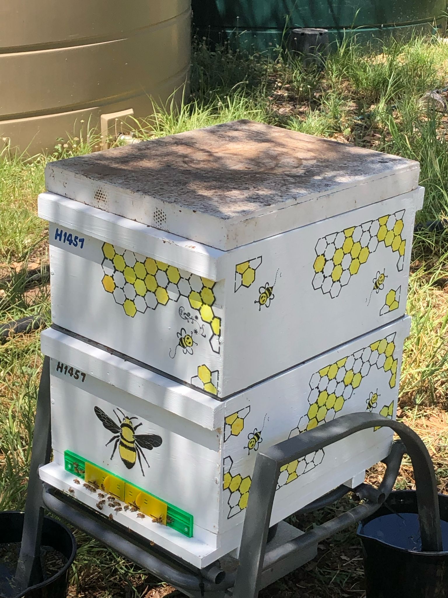 Cody and Robin with Honeycombs